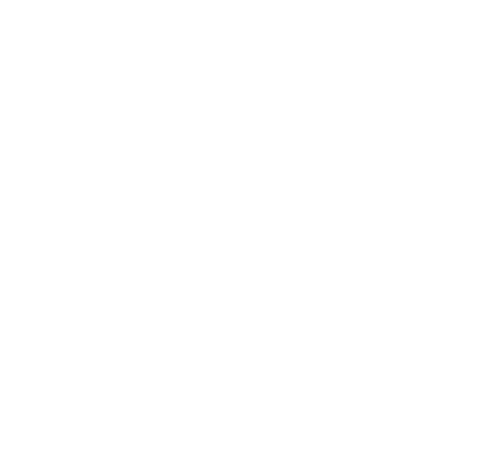 DNV ISO 9001 — quality management system