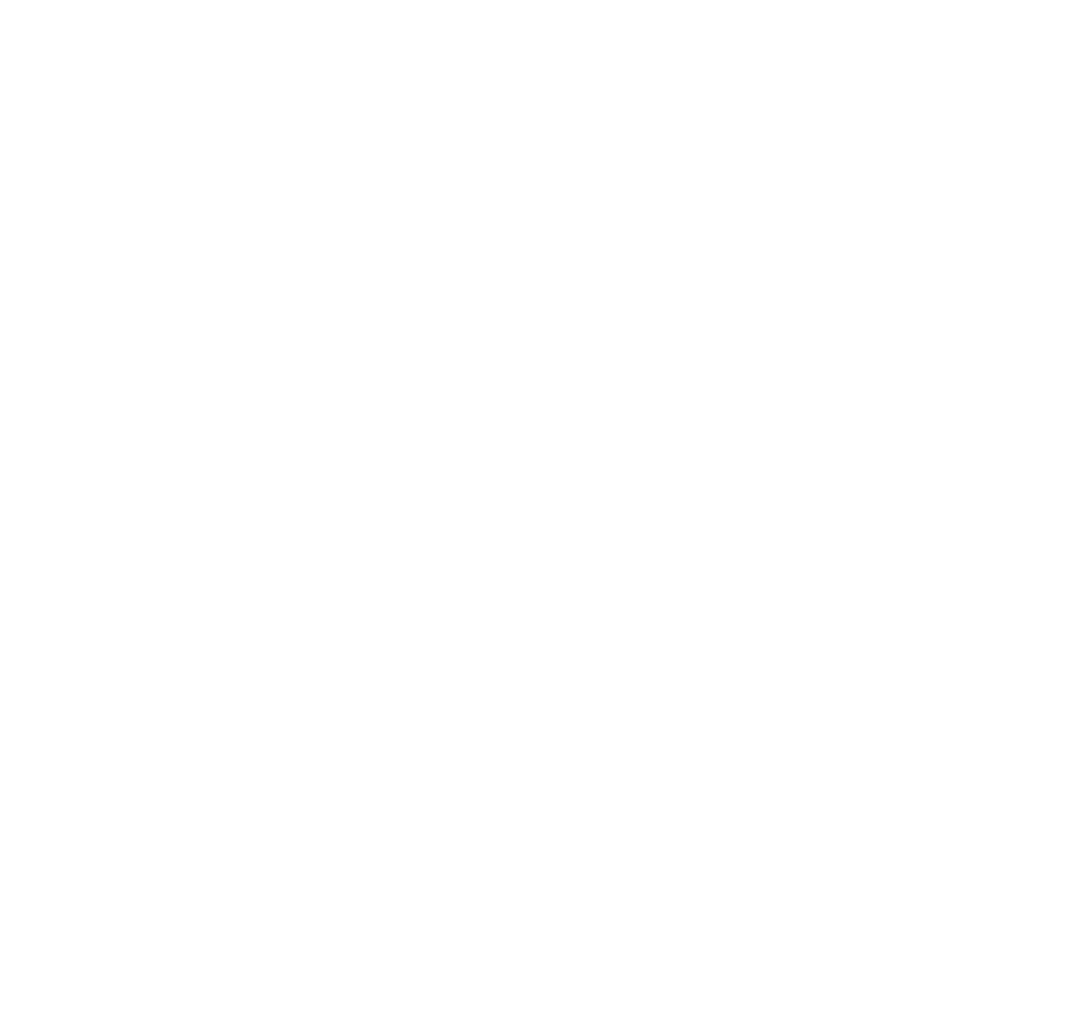 DNV NEN 8009 — veiligheidsmanagementsysteem